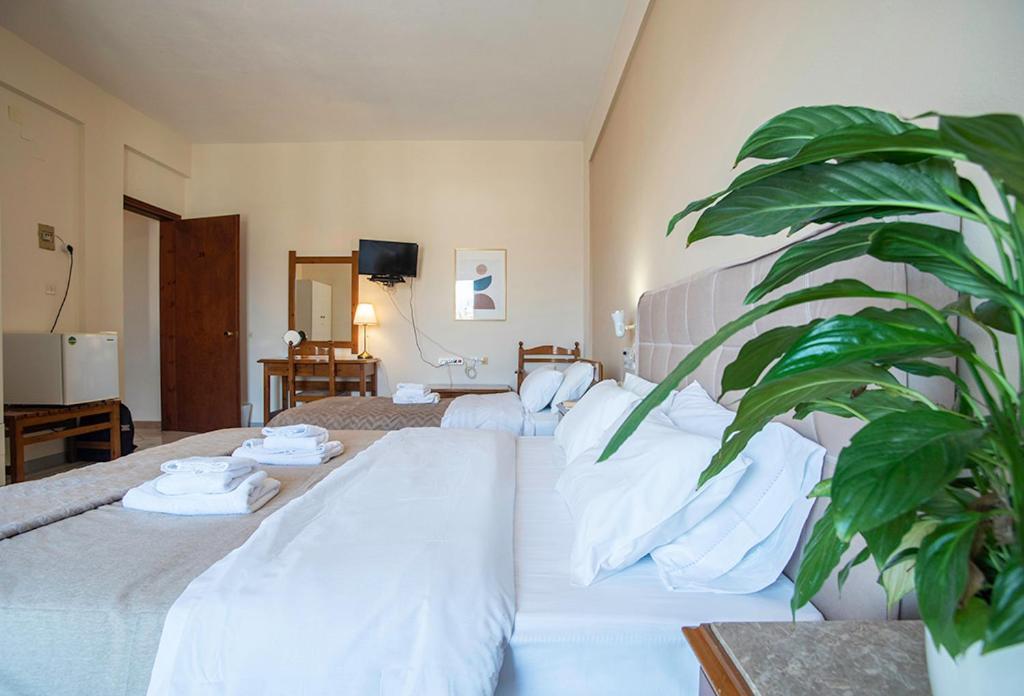 Koukonas Otel Galaxídhion Dış mekan fotoğraf