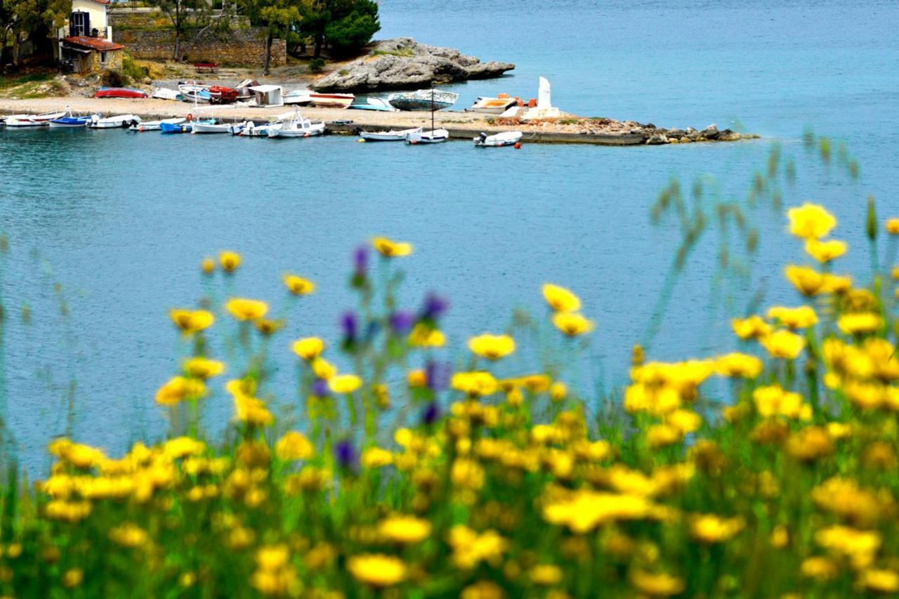 Koukonas Otel Galaxídhion Dış mekan fotoğraf